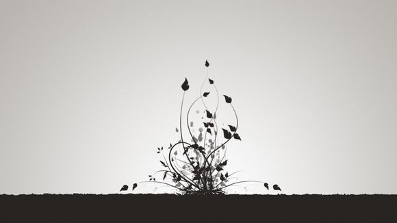 武磊最新比赛