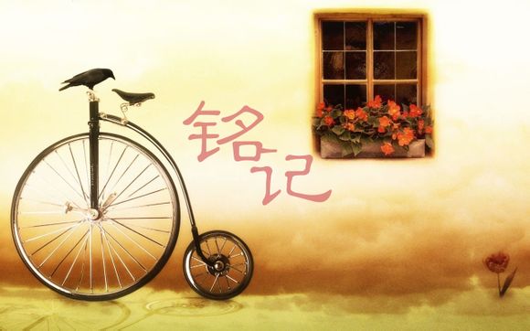 cba篮球赛季后赛赛程安排?